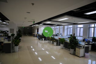 看准网 北京网络技术服务领域的领军者